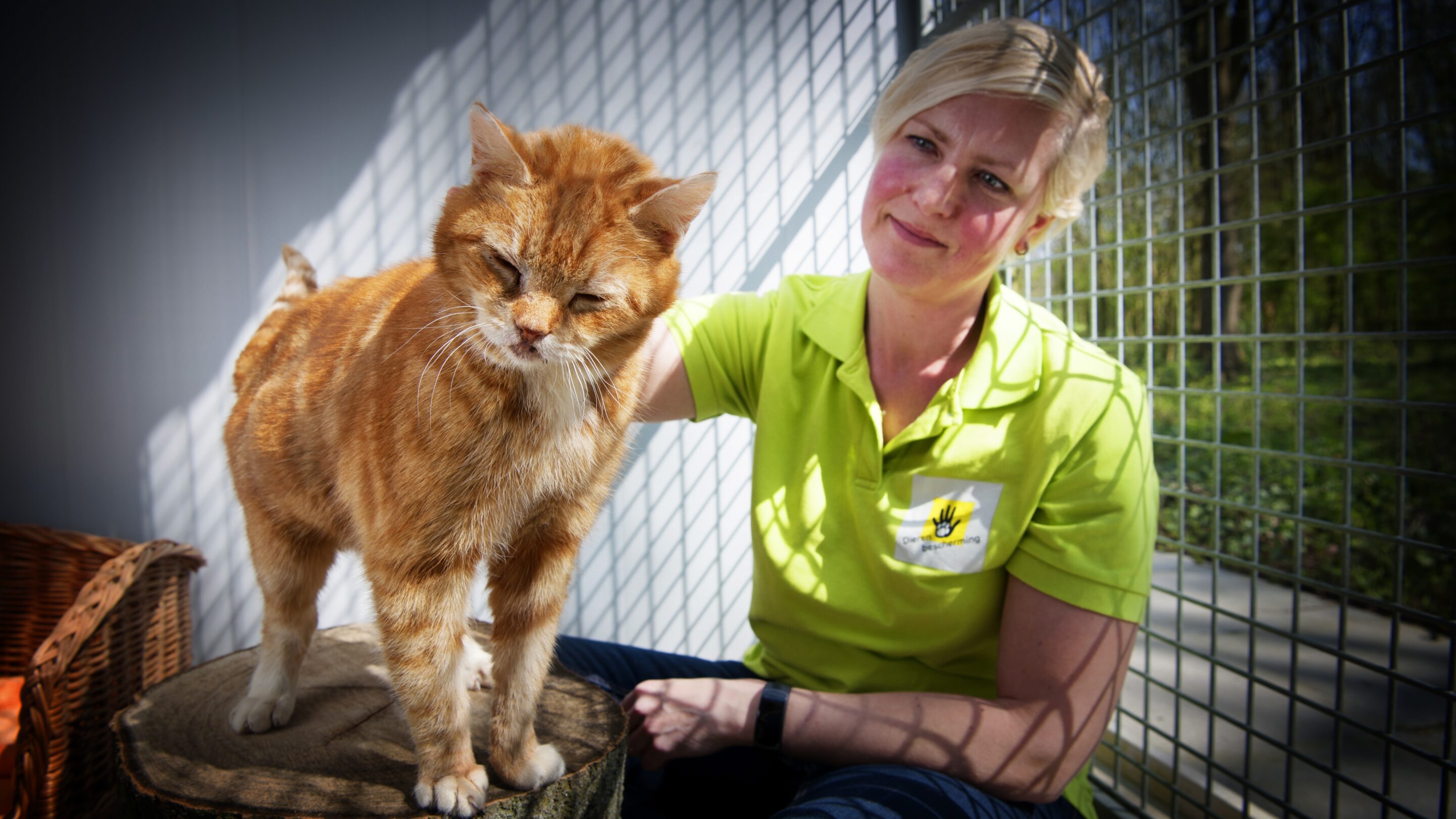 Donatie afbeelding